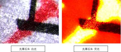 明美体视荧光显微镜在朱墨时序检验中的应用